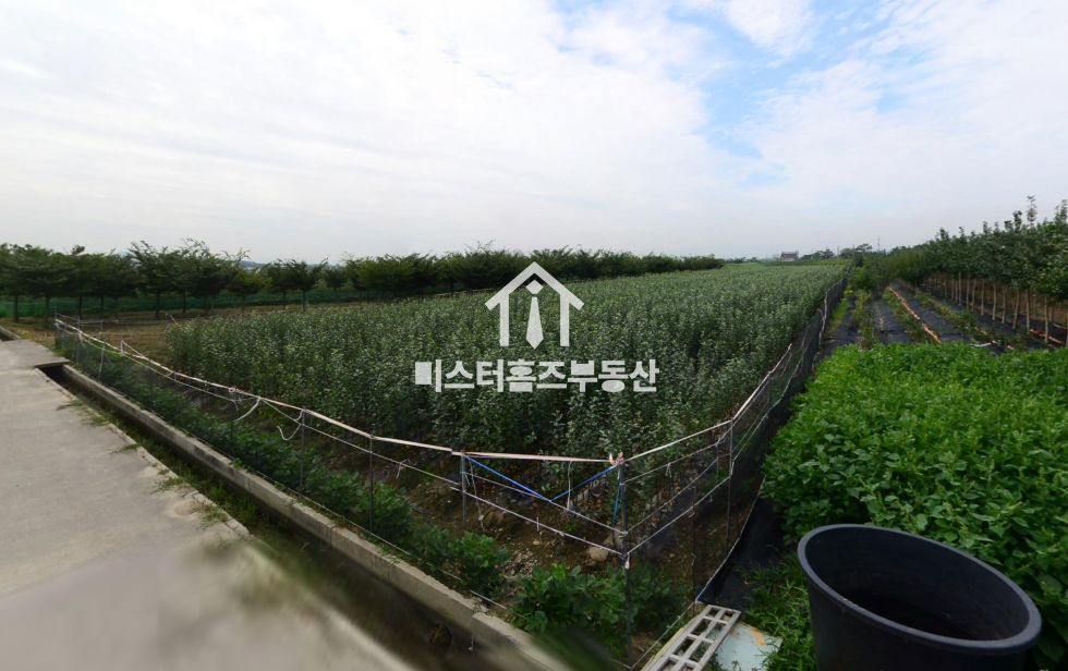경북 경산시 하양읍 대조리 하양읍 대조리 농지매매 매매 매물번호 11527 사진 1