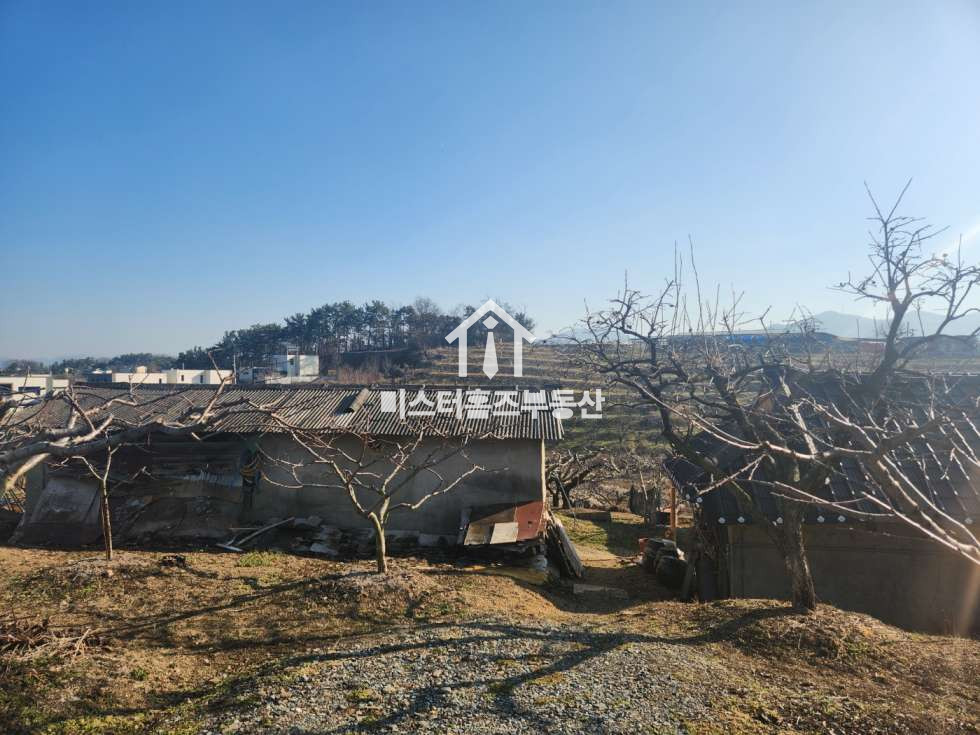 경북 경산시 압량읍 신월리 2차선 도로변 계획관리지역 토지매매 매매 매물번호 11165 사진 2