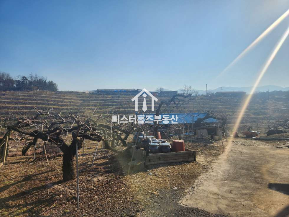 경북 경산시 압량읍 신월리 2차선 도로변 계획관리지역 토지매매 매매 매물번호 11165 사진 7