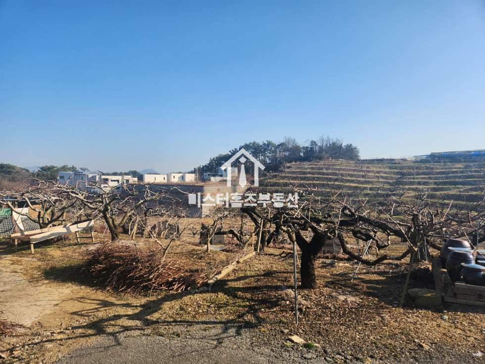 경북 경산시 압량읍 신월리 2차선 도로변 계획관리지역 토지매매 매매 매물번호 11165 사진 8