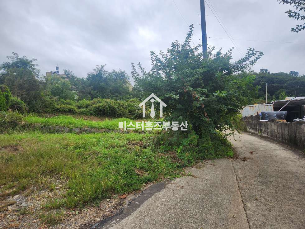 경북 경산시 남천면 신석리 경산 남천면 토지매매, 남천 하이패스IC 개통 예정, 창고 신축 추천 매매 매물번호 12324 사진 6