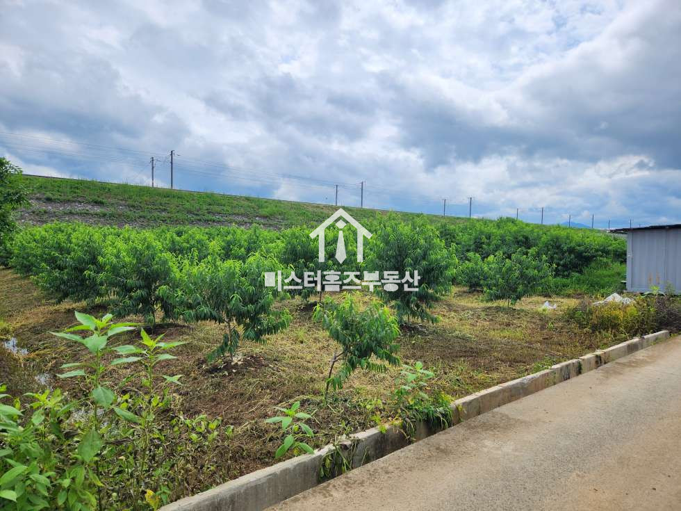경북 경산시 진량읍 가야리 진량읍 가야리 복숭아밭 토지매매, 가야리 농지매매 매매 매물번호 11374 사진 1