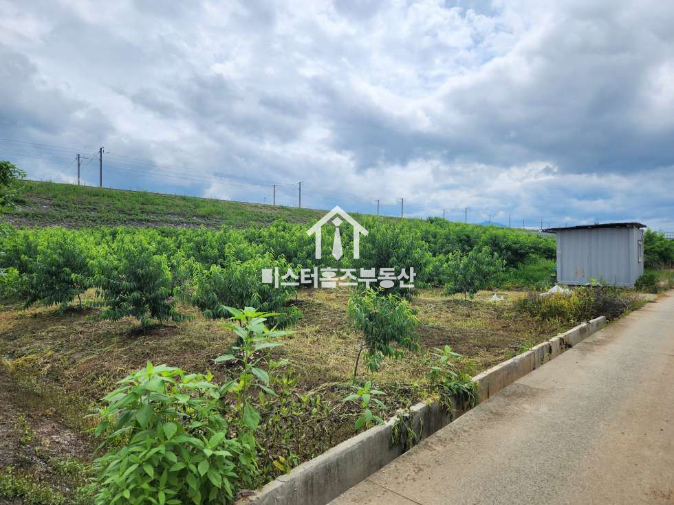 경북 경산시 진량읍 가야리 진량읍 가야리 복숭아밭 토지매매, 가야리 농지매매 매매 매물번호 11374 사진 5
