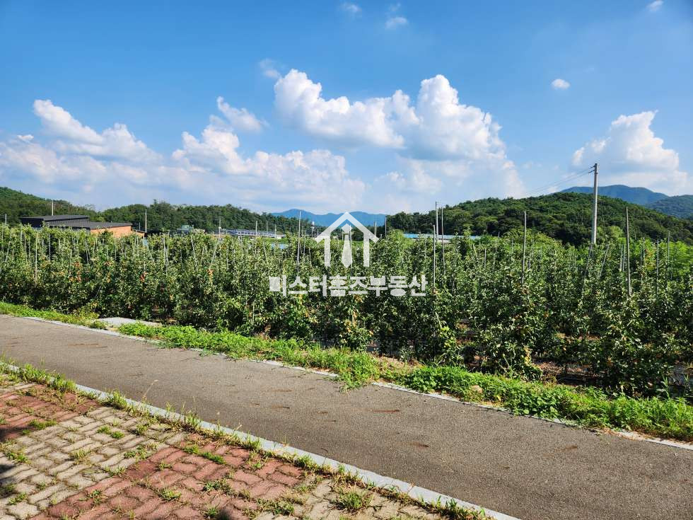 경북 경산시 여천동 대구한의대 대로변 토지매매, 월드컵대로 전면 넓은 토지, 경산 여천동 토지매매 매매 매물번호 12172 사진 3