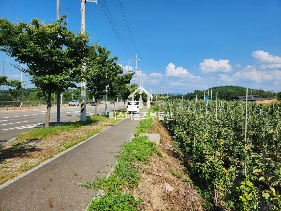 경북 경산시 여천동 대구한의대 대로변 토지매매, 월드컵대로 전면 넓은 토지, 경산 여천동 토지매매 매매 매물번호 12172 사진 7