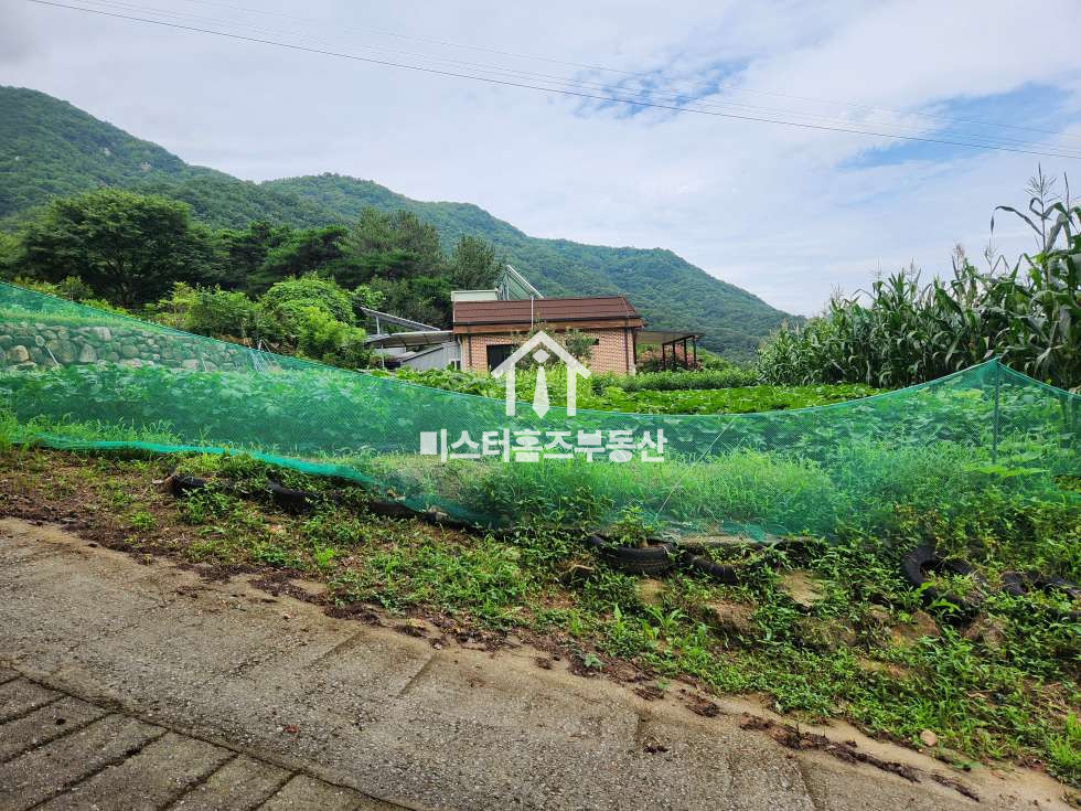 경북 경산시 와촌면 음양리 경산 와촌면 음양리 도로변 노출 좋은 토지매매, 전원주택, 카페 부지 매매 매매 매물번호 12056 사진 1