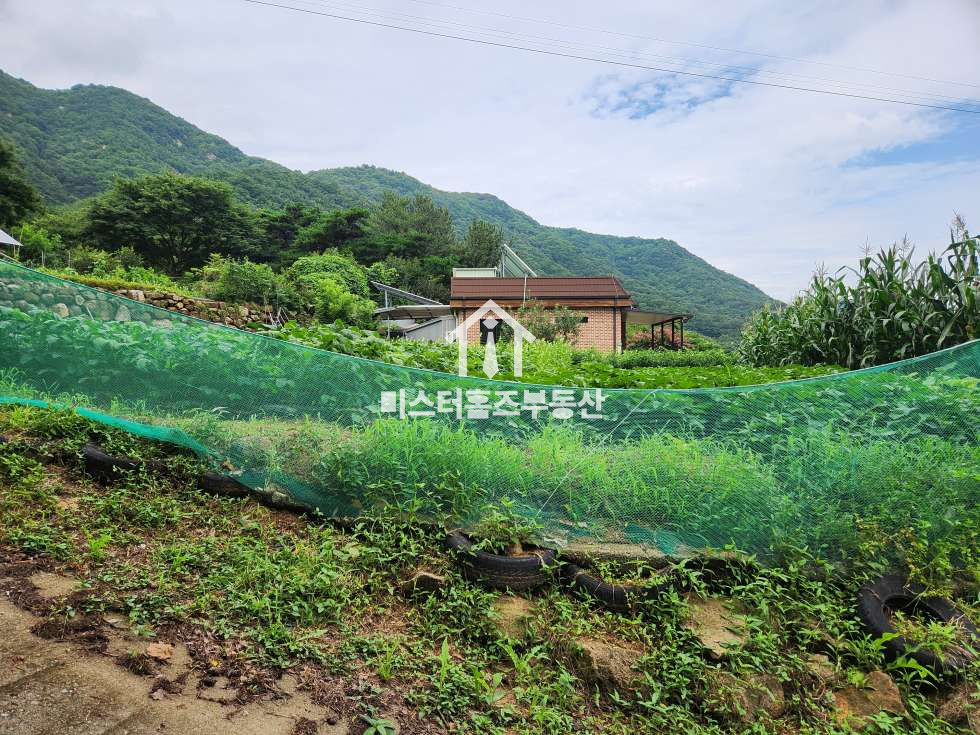 경북 경산시 와촌면 음양리 경산 와촌면 음양리 도로변 노출 좋은 토지매매, 전원주택, 카페 부지 매매 매매 매물번호 12056 사진 6