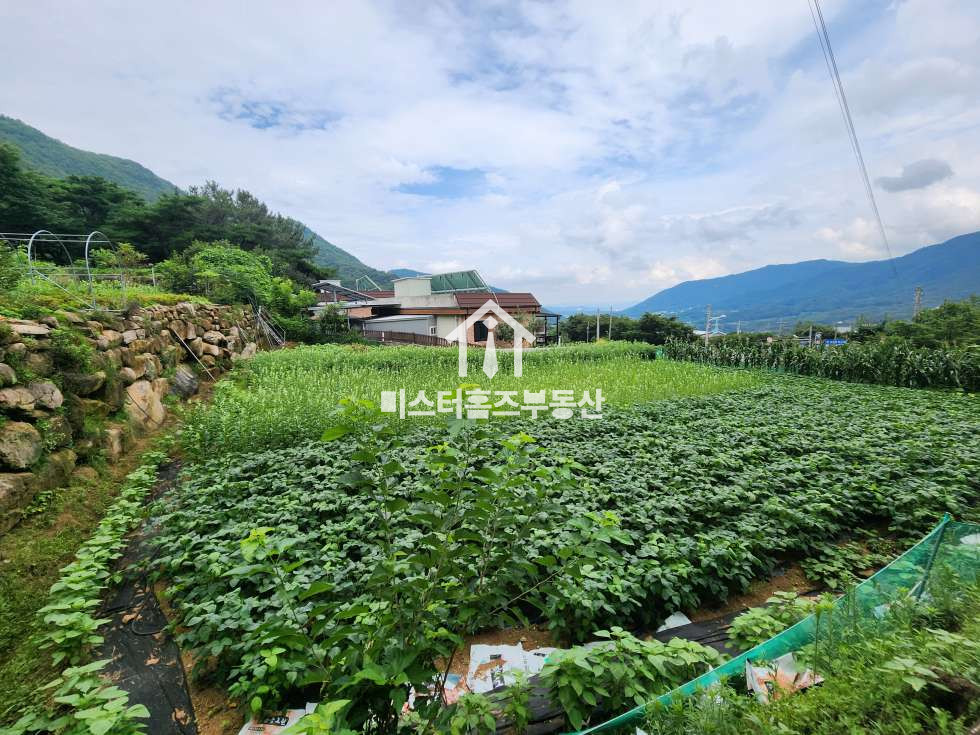 경북 경산시 와촌면 음양리 경산 와촌면 음양리 도로변 노출 좋은 토지매매, 전원주택, 카페 부지 매매 매매 매물번호 12056 사진 7
